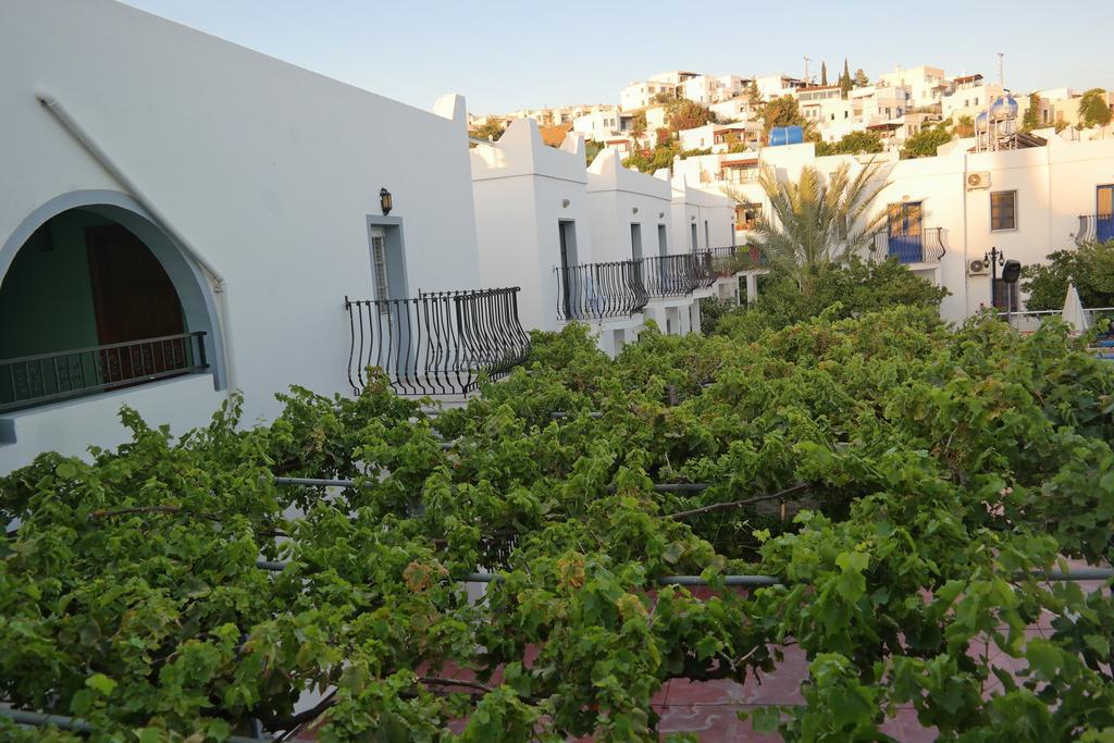 Dilek Apart Hotel Гумбет Экстерьер фото