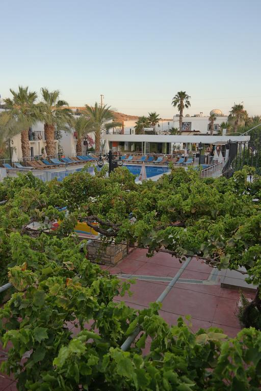 Dilek Apart Hotel Гумбет Экстерьер фото